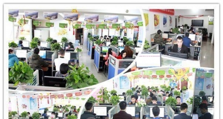 西南領(lǐng)先的一站式數(shù)字服務(wù) 重慶四模建站、全網(wǎng)推廣與軟件開發(fā)解決方案